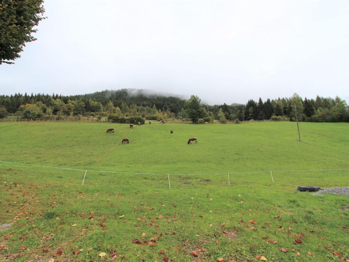 Beautiful Apartment In A Renovated Farmhouse In Fresach Carinthia 외부 사진